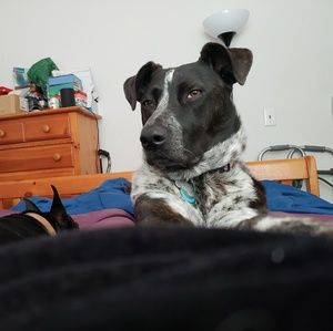 Meet your Posher, Debra